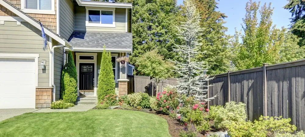 House next to trees