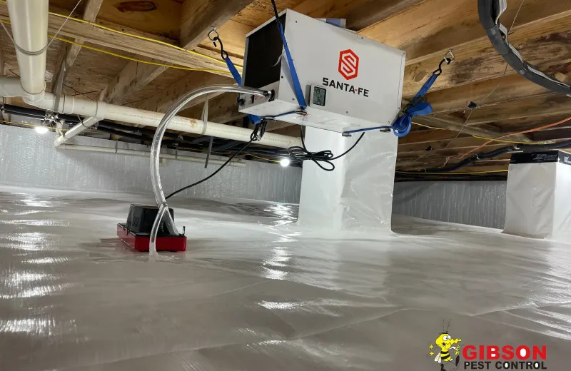crawl space