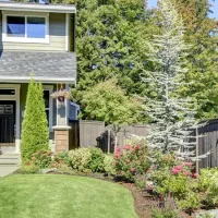 House next to trees